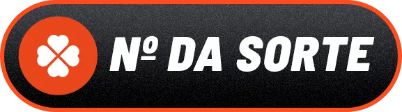NÚMERO DA SORTE